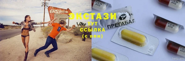 мет Алексин