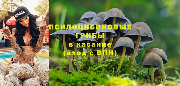 ALPHA PVP Алзамай