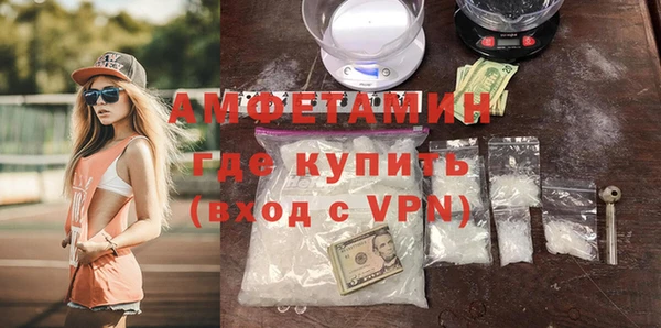 мет Алексин