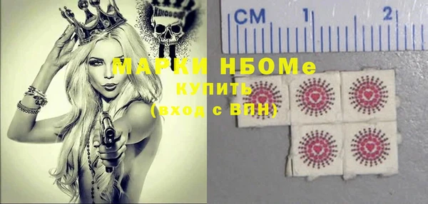 мет Алексин