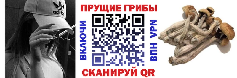 Галлюциногенные грибы Magic Shrooms Киселёвск